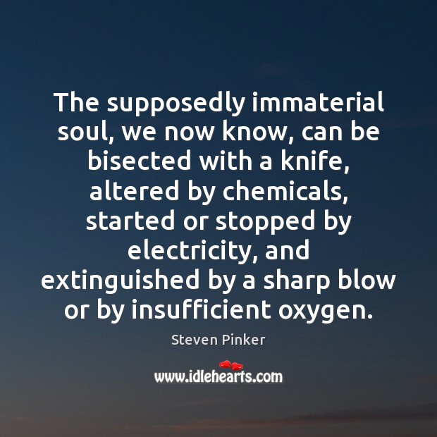 The supposedly immaterial soul, we now know, can be bisected with a Steven Pinker Picture Quote