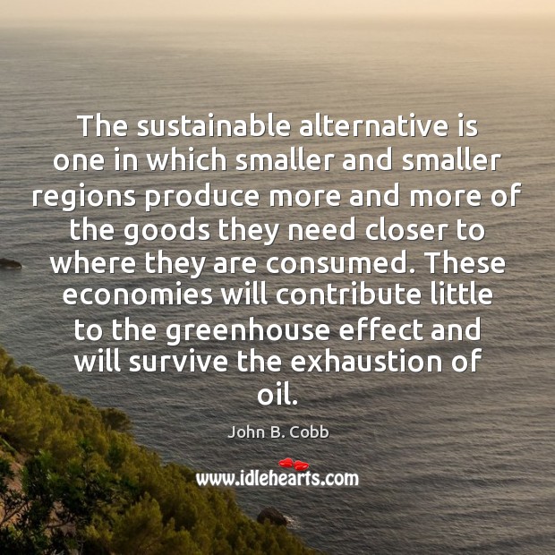 The sustainable alternative is one in which smaller and smaller regions produce John B. Cobb Picture Quote