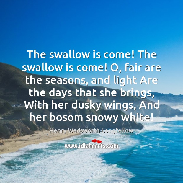 The swallow is come! The swallow is come! O, fair are the Image