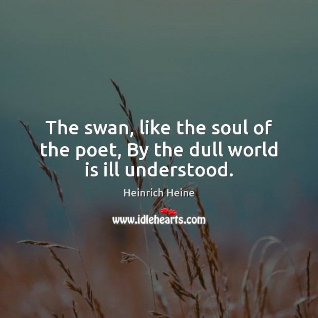 The swan, like the soul of the poet, By the dull world is ill understood. Image