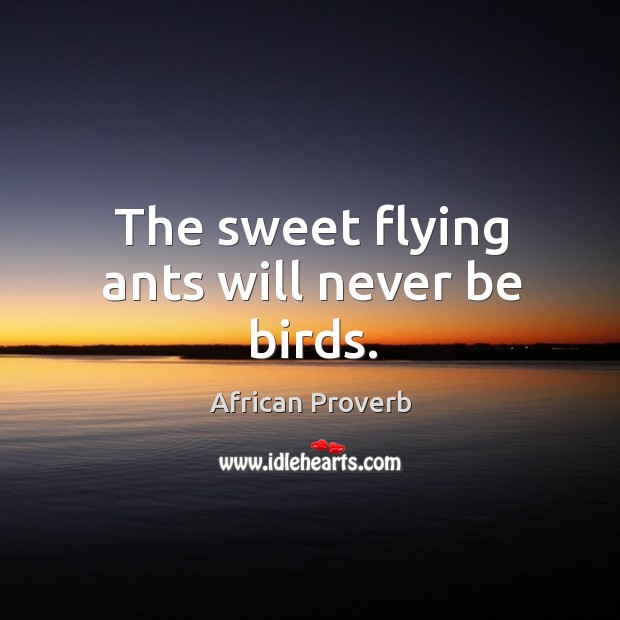The sweet flying ants will never be birds. Image