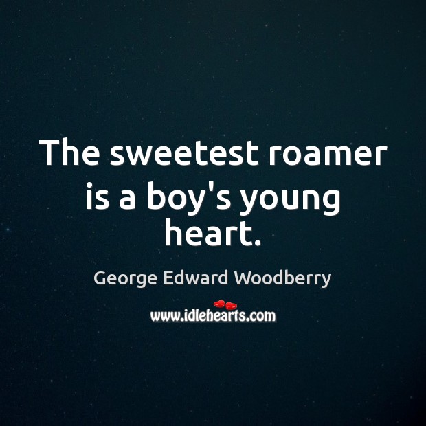 The sweetest roamer is a boy’s young heart. George Edward Woodberry Picture Quote