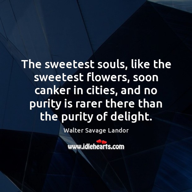 The sweetest souls, like the sweetest flowers, soon canker in cities, and Walter Savage Landor Picture Quote