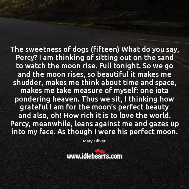 The sweetness of dogs (fifteen) What do you say, Percy? I am Mary Oliver Picture Quote