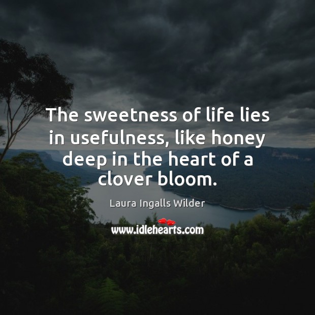 The sweetness of life lies in usefulness, like honey deep in the heart of a clover bloom. Image