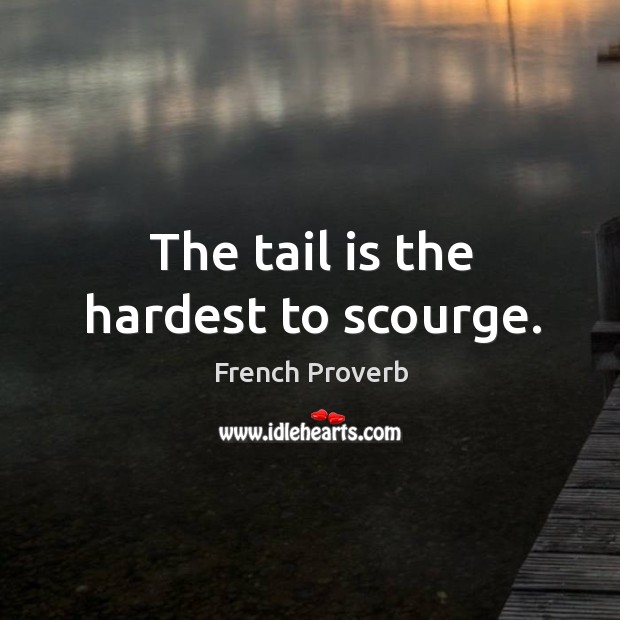 The tail is the hardest to scourge. French Proverbs Image