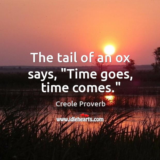 The tail of an ox says, “time goes, time comes.” Creole Proverbs Image