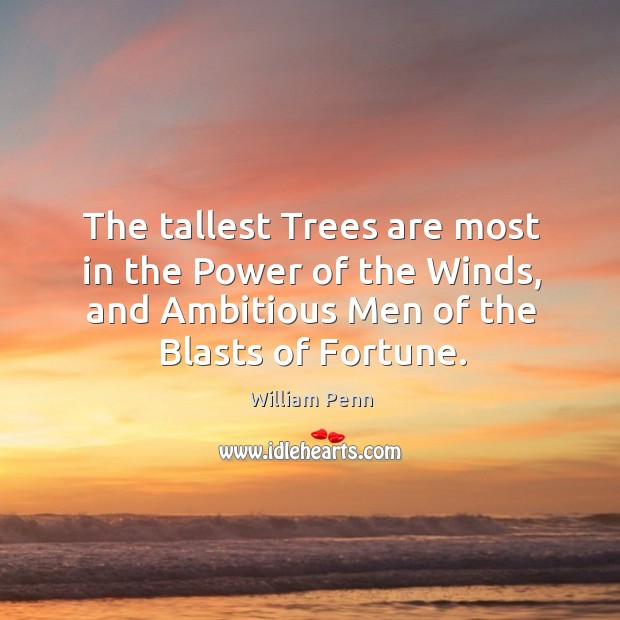 The tallest trees are most in the power of the winds, and ambitious men of the blasts of fortune. Image