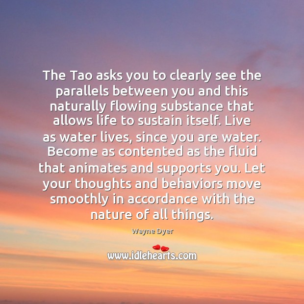 The Tao asks you to clearly see the parallels between you and Image