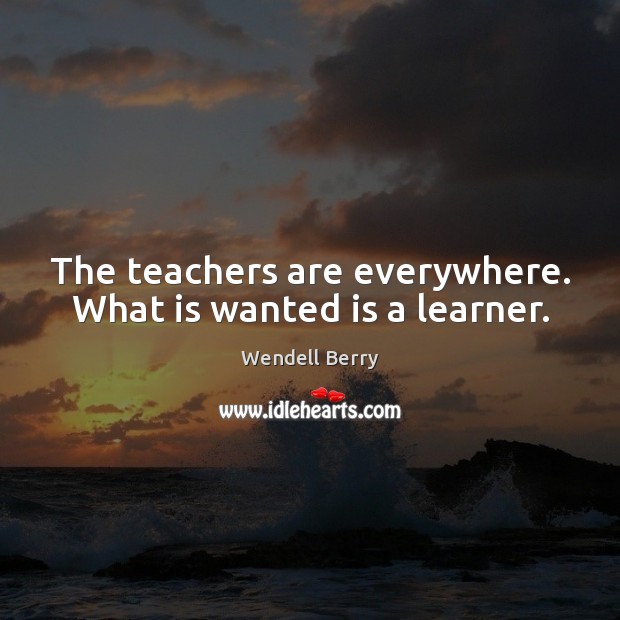 The teachers are everywhere. What is wanted is a learner. Wendell Berry Picture Quote