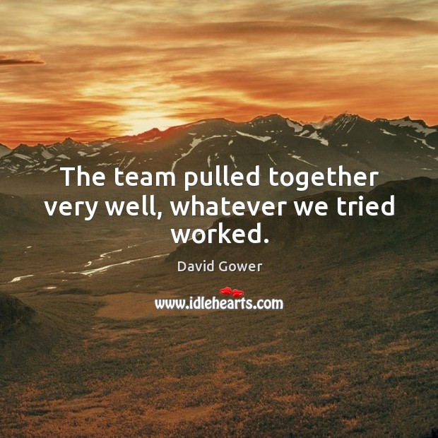 The team pulled together very well, whatever we tried worked. David Gower Picture Quote