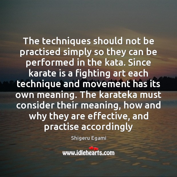 The techniques should not be practised simply so they can be performed Shigeru Egami Picture Quote