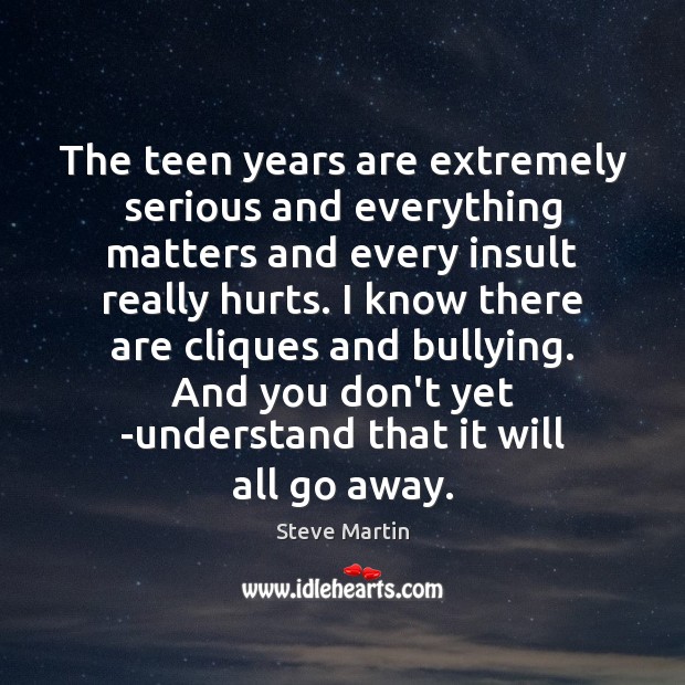 The teen years are extremely serious and everything matters and every insult Teen Quotes Image