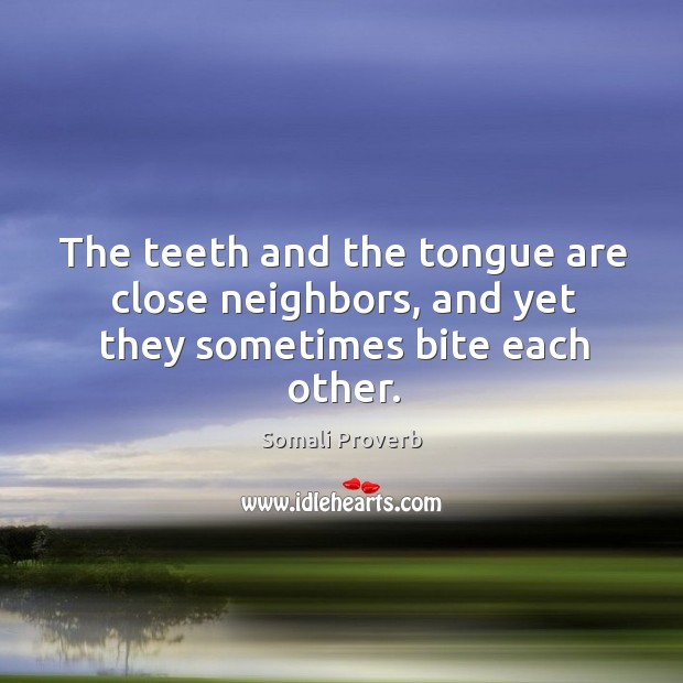 The teeth and the tongue are close neighbors Somali Proverbs Image