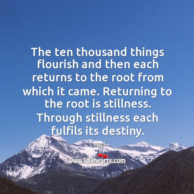 The ten thousand things flourish and then each returns to the root Image