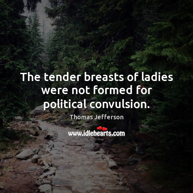 The tender breasts of ladies were not formed for political convulsion. Image