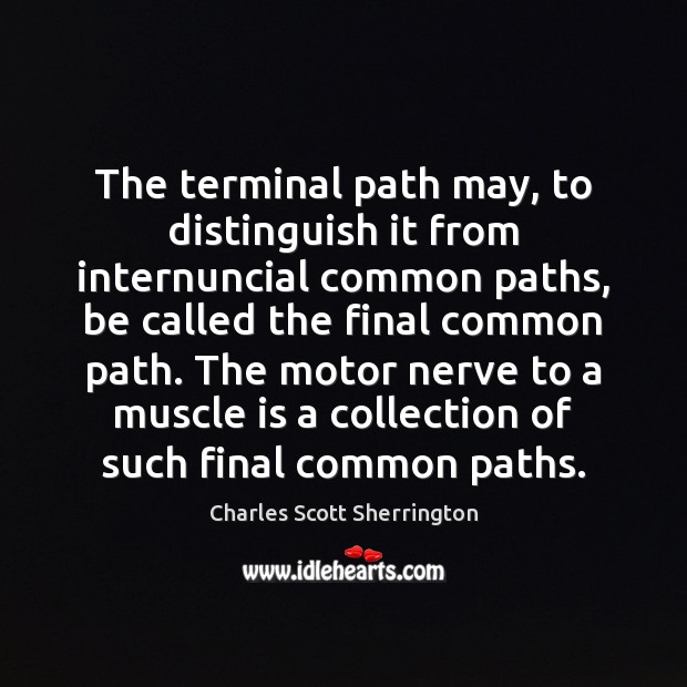 The terminal path may, to distinguish it from internuncial common paths, be Charles Scott Sherrington Picture Quote