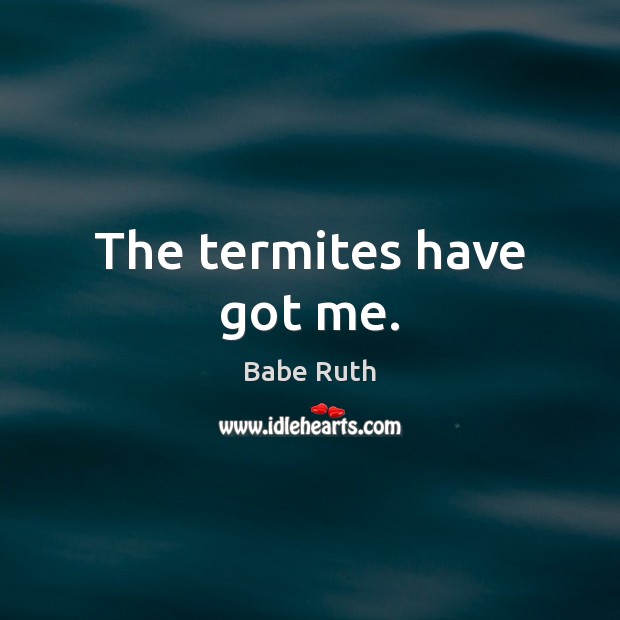 The termites have got me. Babe Ruth Picture Quote
