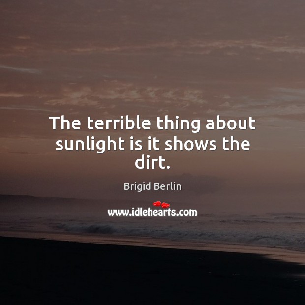 The terrible thing about sunlight is it shows the dirt. Image