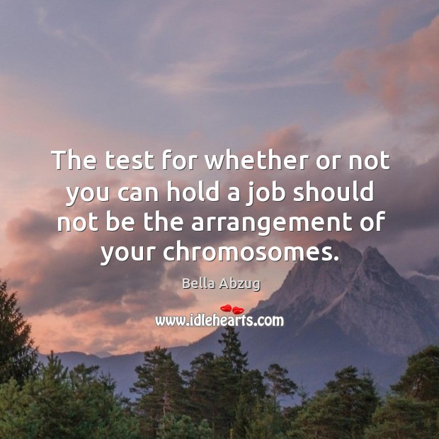 The test for whether or not you can hold a job should not be the arrangement of your chromosomes. Bella Abzug Picture Quote