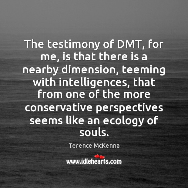 The testimony of DMT, for me, is that there is a nearby Terence McKenna Picture Quote
