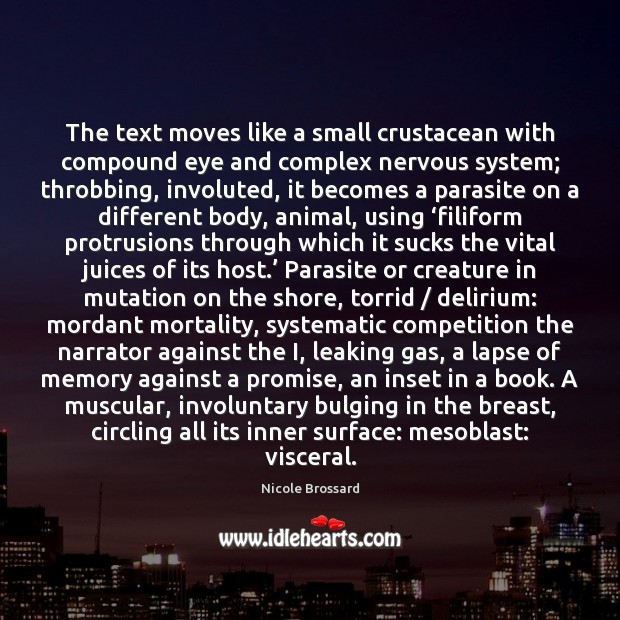 The text moves like a small crustacean with compound eye and complex Image