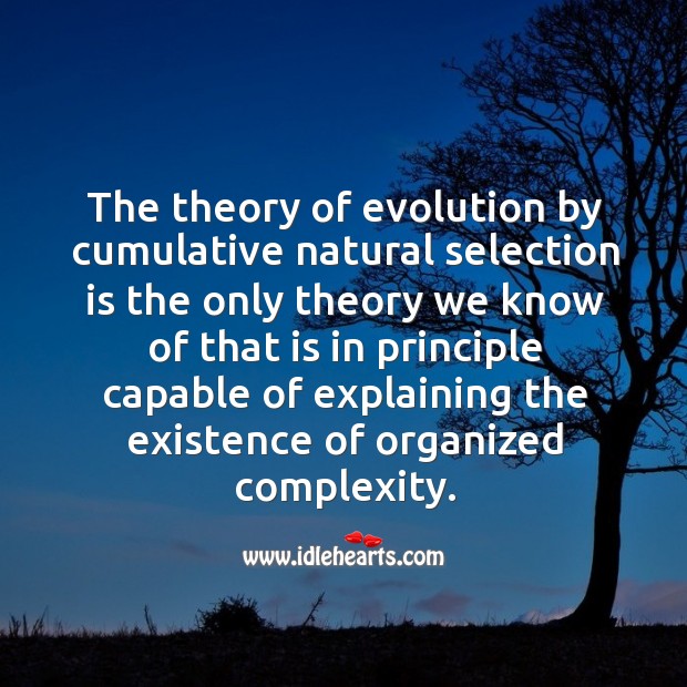 The theory of evolution by cumulative natural selection is the only theory Image