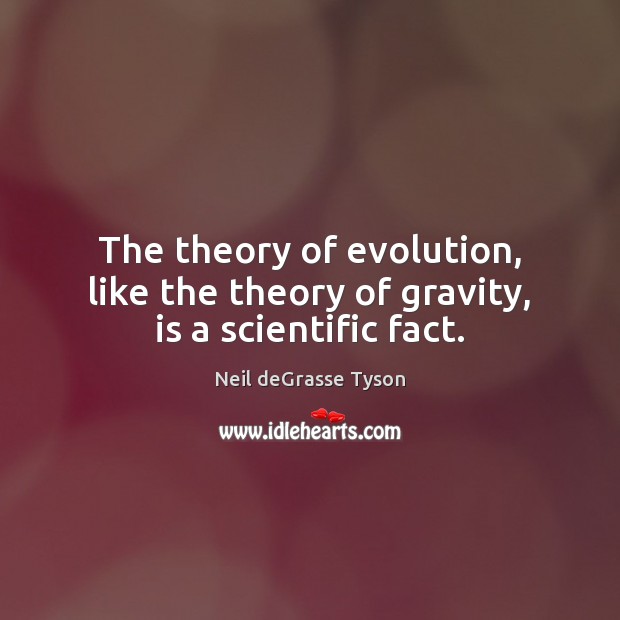 The theory of evolution, like the theory of gravity, is a scientific fact. Neil deGrasse Tyson Picture Quote