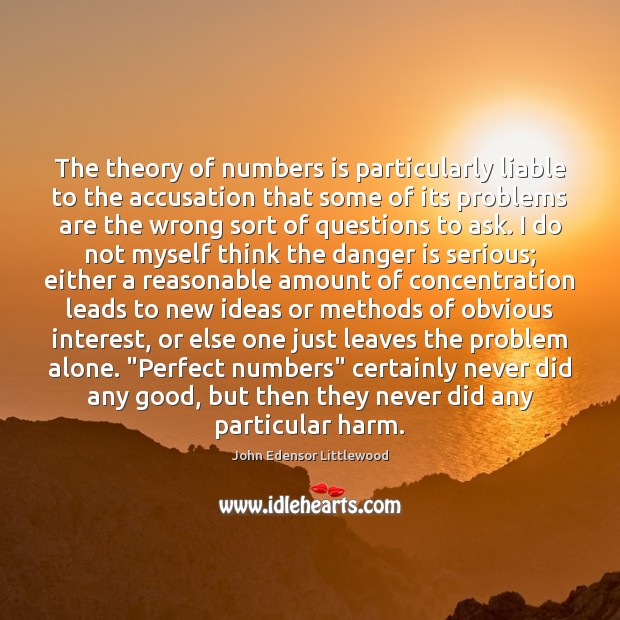 The theory of numbers is particularly liable to the accusation that some John Edensor Littlewood Picture Quote