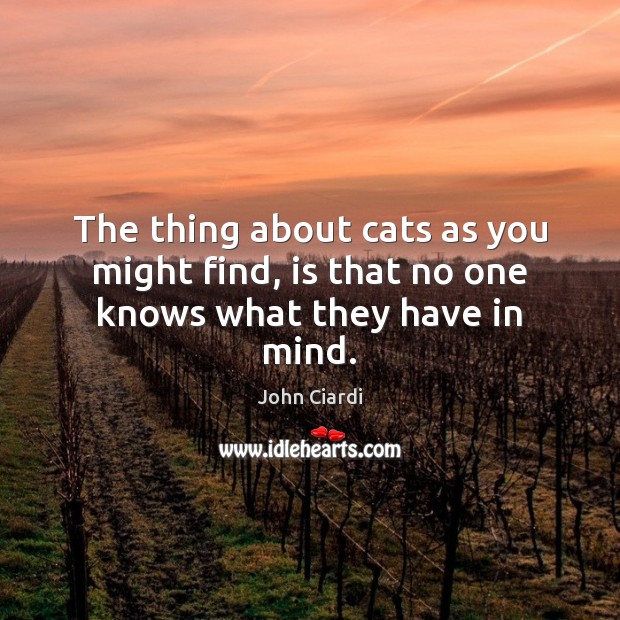 The thing about cats as you might find, is that no one knows what they have in mind. John Ciardi Picture Quote