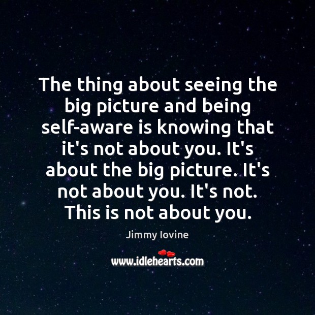 The thing about seeing the big picture and being self-aware is knowing Jimmy Iovine Picture Quote