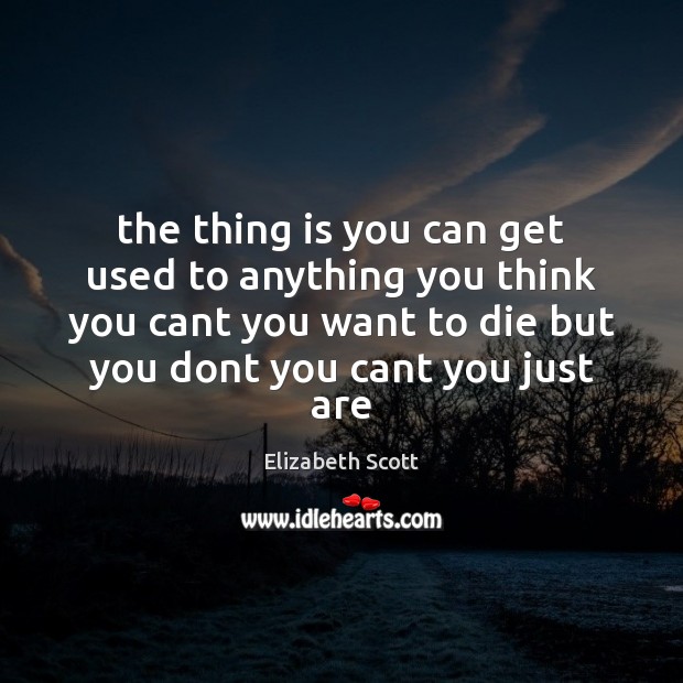 The thing is you can get used to anything you think you Elizabeth Scott Picture Quote