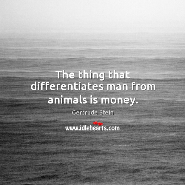 The thing that differentiates man from animals is money. Gertrude Stein Picture Quote