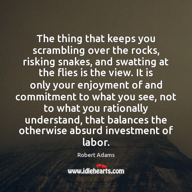 The thing that keeps you scrambling over the rocks, risking snakes, and Robert Adams Picture Quote
