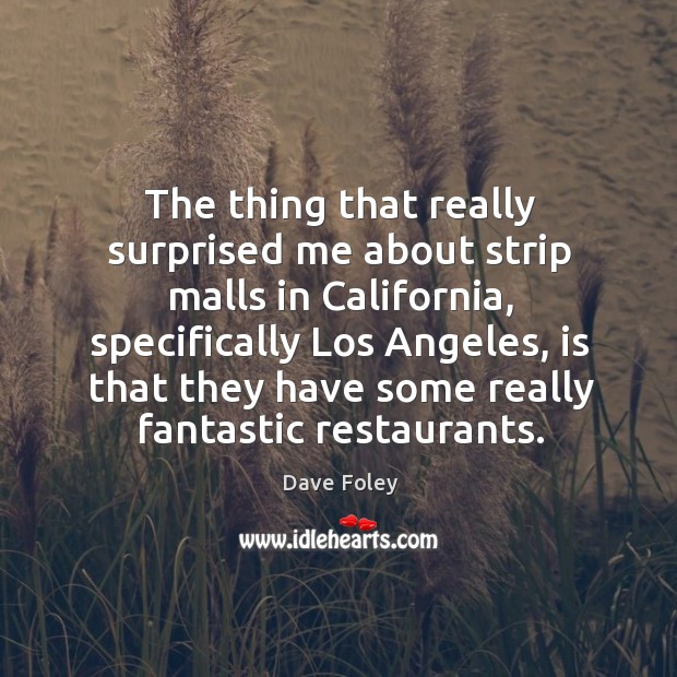 The thing that really surprised me about strip malls in california, specifically los angeles Dave Foley Picture Quote