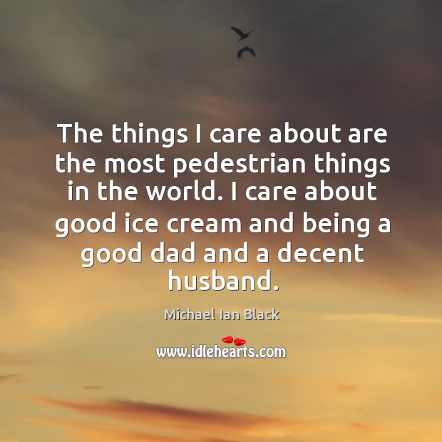 The things I care about are the most pedestrian things in the Michael Ian Black Picture Quote