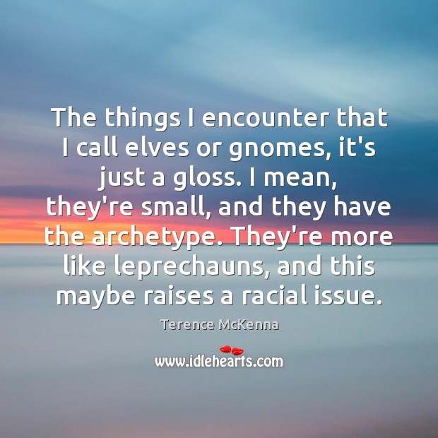 The things I encounter that I call elves or gnomes, it’s just Terence McKenna Picture Quote