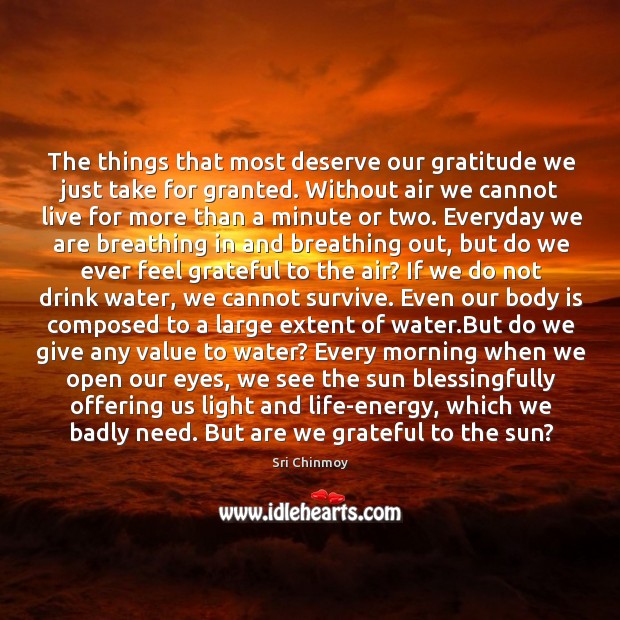 The things that most deserve our gratitude we just take for granted. Sri Chinmoy Picture Quote