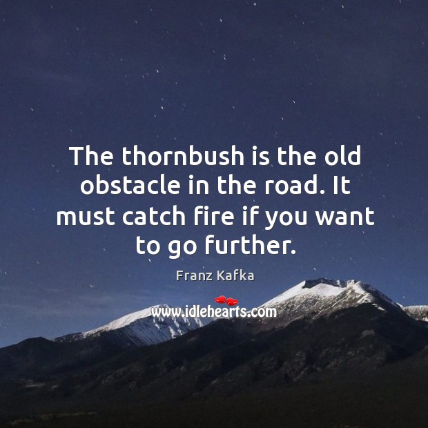The thornbush is the old obstacle in the road. It must catch fire if you want to go further. Image