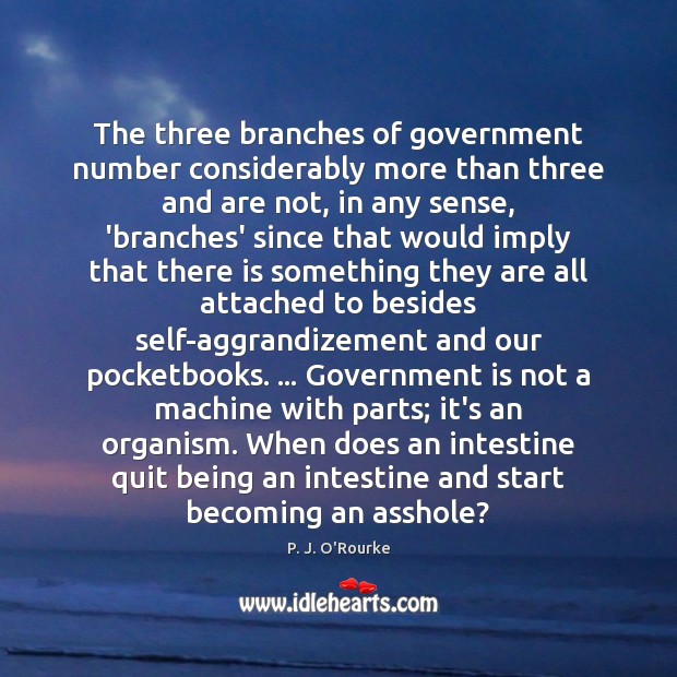 The three branches of government number considerably more than three and are P. J. O’Rourke Picture Quote