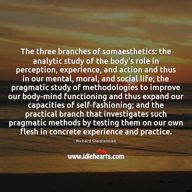 The three branches of somaesthetics: the analytic study of the body’s role Image