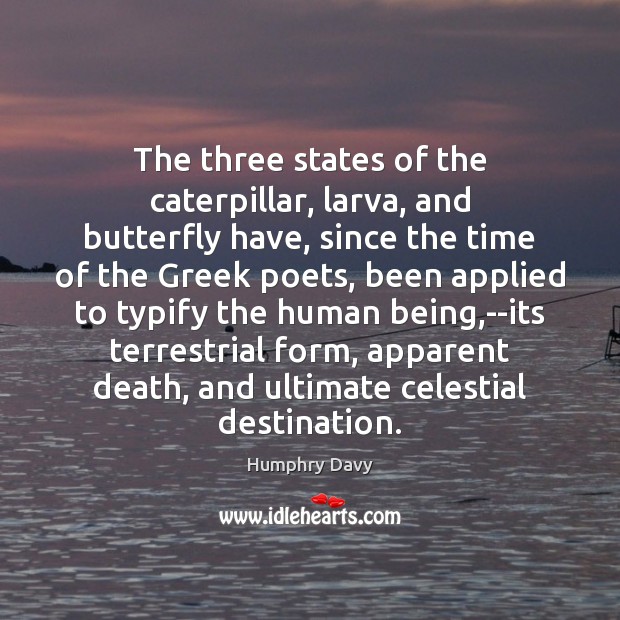 The three states of the caterpillar, larva, and butterfly have, since the Humphry Davy Picture Quote
