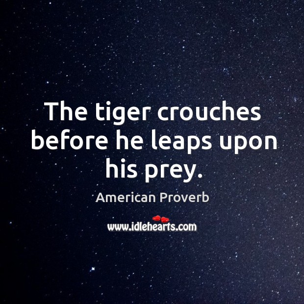 The tiger crouches before he leaps upon his prey. American Proverbs Image