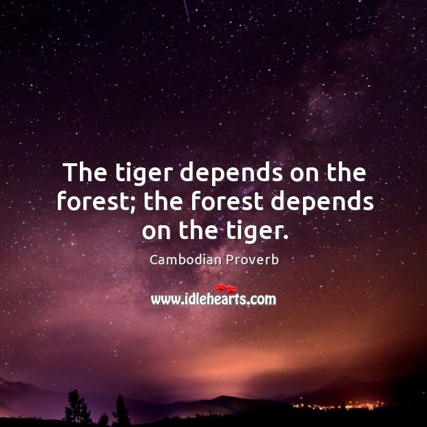 The tiger depends on the forest; the forest depends on the tiger. Cambodian Proverbs Image