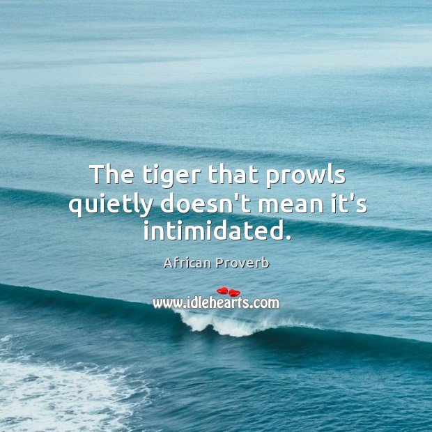 The tiger that prowls quietly doesn’t mean it’s intimidated. Image