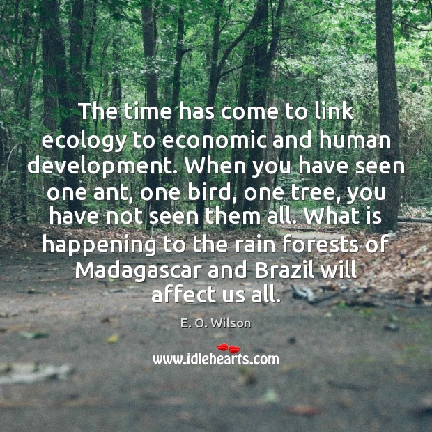 The time has come to link ecology to economic and human development. E. O. Wilson Picture Quote