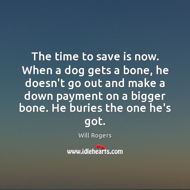 The time to save is now. When a dog gets a bone, Will Rogers Picture Quote