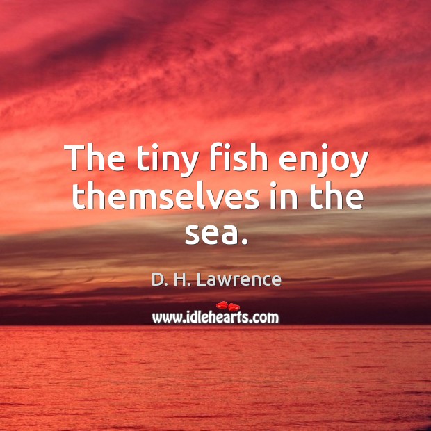 The tiny fish enjoy themselves in the sea. D. H. Lawrence Picture Quote