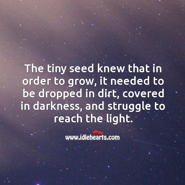 The tiny seed knew that in order to grow, it needed to be dropped in dirt Image