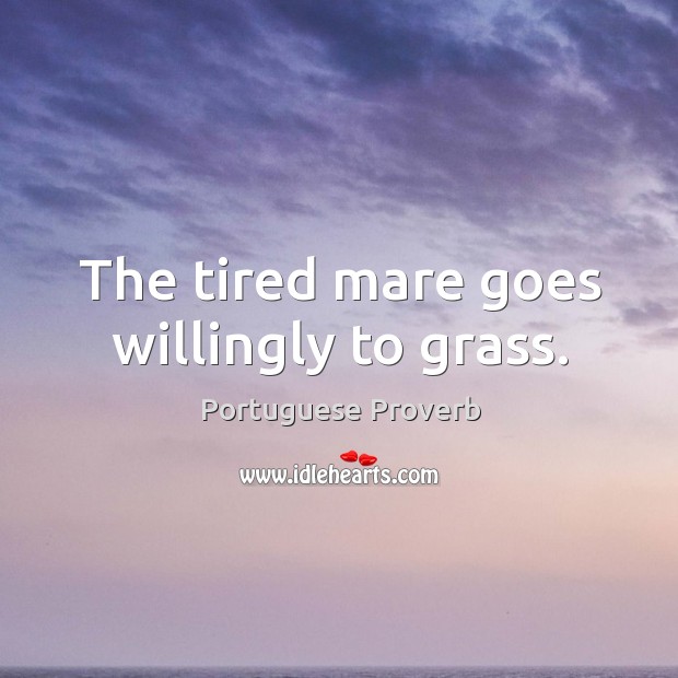The tired mare goes willingly to grass. Portuguese Proverbs Image